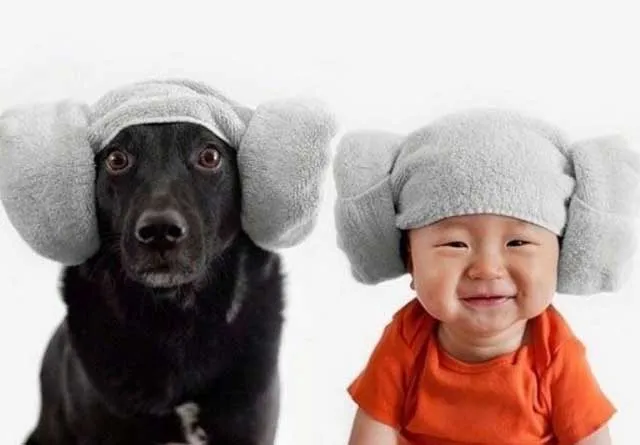 The Baby And His French Bulldog Make The Cutest Pair