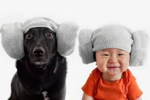 The Baby And His French Bulldog Make The Cutest Pair