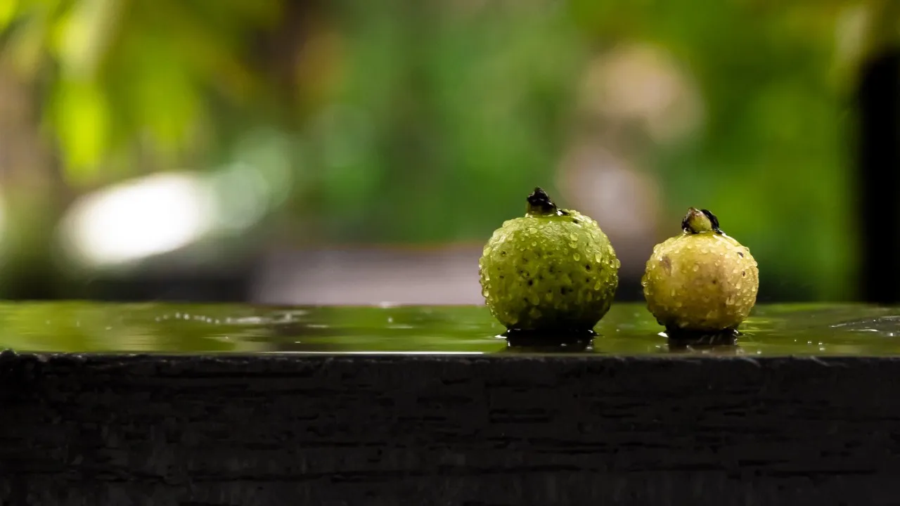 Guava Wine Recipe - Easy Home Made Kerala style