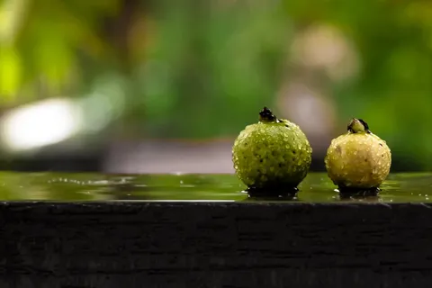 Guava Wine Recipe - Easy Home Made Kerala style