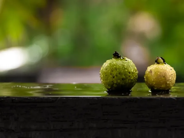 Guava Wine Recipe - Easy Home Made Kerala style
