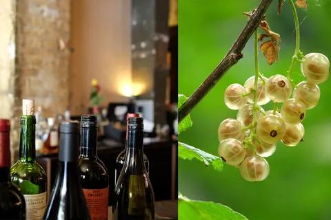 Amla Wine- Easy Home Made Kerala Style Recipes
